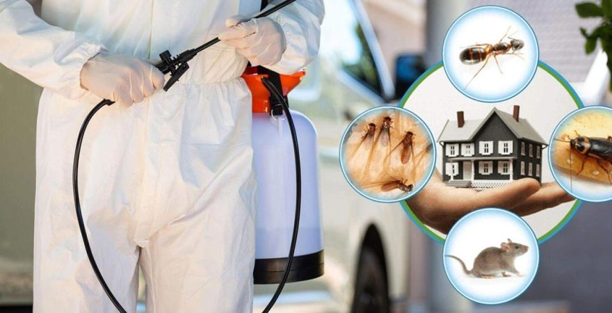 Balçova Böcek İlaçlama