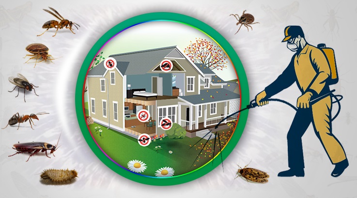 Balçova Böcek İlaçlama