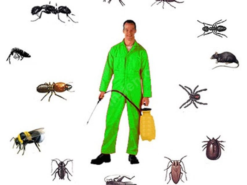 Balçova Böcek İlaçlama